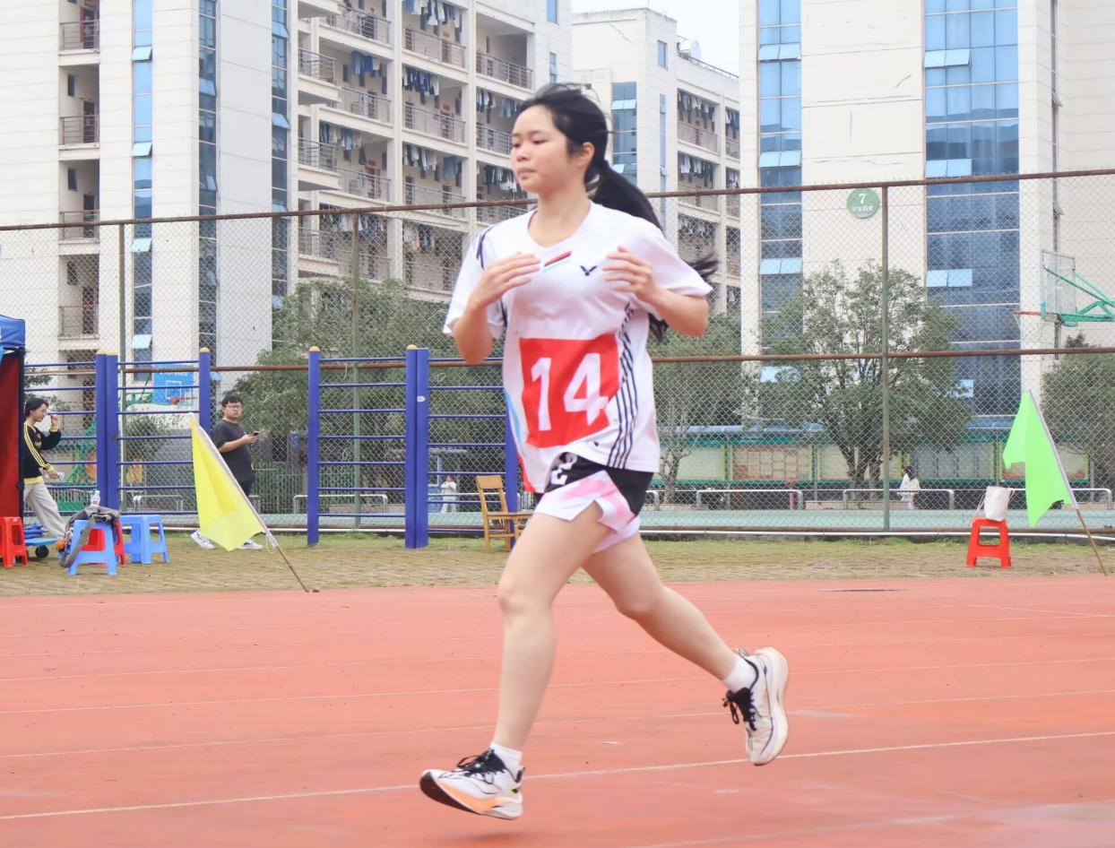 图片2