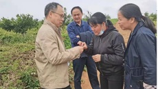 beat365中文官方网站药学院黄荣韶教授应邀到崇左市调研指导中药材产业