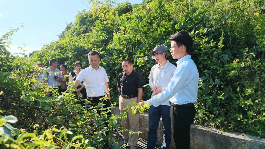 实地考察现场