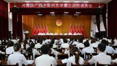 共青团beat365中文官方网站第三次代表大会顺利召开